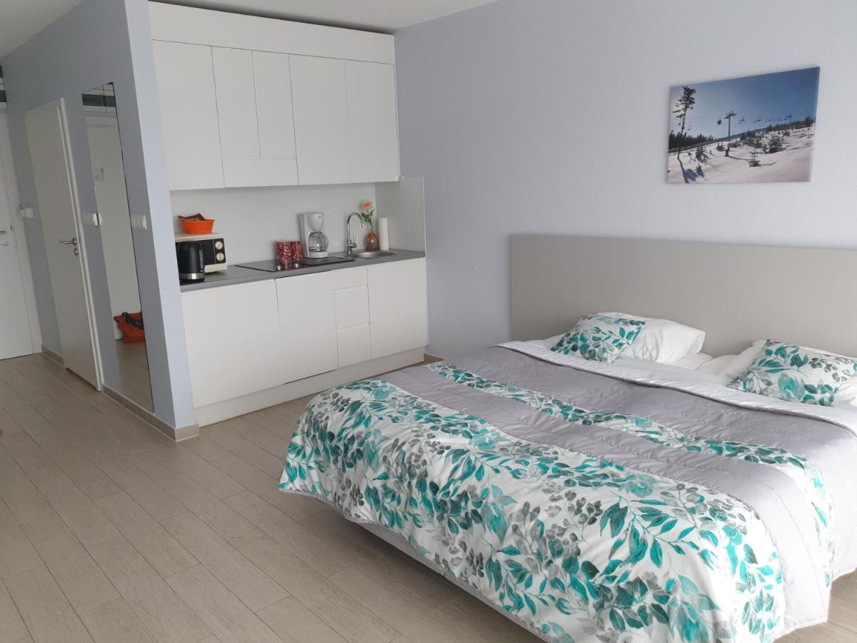 Apartament Czarna Góra Faktura VAT Sienna  Zewnętrze zdjęcie